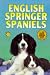 English Springer Spaniels