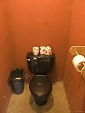 IMAGE OF Black Public Toilet with Rolls of Toilet Paper and Garbage Can, Belize Stretched Canvas Poster Print, 9x12