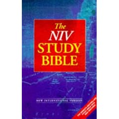 Bible: New International Version Study Bible (Bible Niv)
