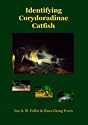 Identifying Corydoradine Catfish