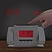 Electric Avenue 72-6066 Dual Projection Alarm Clock with FM Radio