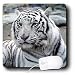 Tigers - White Tiger - Mouse Pads