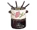 Franciscan Desert Rose Enamel on Steel Fondue Set