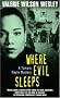 Where Evil Sleeps (A Tamara Hayle mystery)
