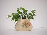 6 Ivy Rose Purse