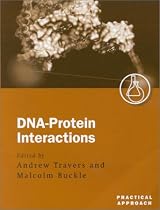 DNA-Protein Interactions: A Practical Approach (Practical Approach Series)