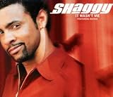 It Wasn't Me - Shaggy