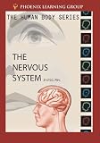 The Human Body: Nervous System