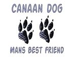CANAAN DOG MAN'S BEST FRIEND Plush Teddy Bear with BLUE T-Shirt