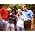 Thumbnail image of The Vaccines