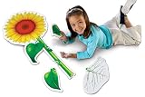 Foam Puzzles