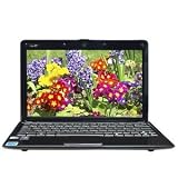 ASUS EEEPC 1101HAB-RBLK001X ,Soft Touch Black,11.6 Netbook,Intel Atom Z520 CPU,XP.