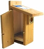 Western Bluebird Ultimate Bluebird House