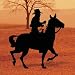 Pattern for Trail Ride