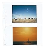 HAKUBA ���|�[�g�A���o��DX�p�֑䎆 2L 520149