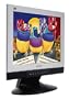 Viewsonic Vx900-1 19" LCD Monitor (Silver/Black)