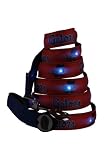 NCAA Florida Gators LED Light Up Dog Leash, 6-Feet