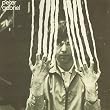 Peter Gabriel