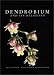 Books : Dendrobium and Its Relatives