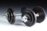 20kg Cast Iron Dumbell Set: