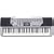 Casio CTK-496 Electronic Keyboard with 61 Full-Size Keys and Singalong Capability