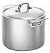 Kitchen & Housewares : Viking 5-Ply Stainless 8-Quart Stock Pot