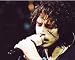 CHRIS CORNELL signed *SOUNDGARDEN* AUDIOSLAVE 8X10 +COA - Autographed College Photos
