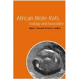 african mole