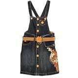 Overall Denim Dress