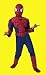 Kids Spiderman 2 Halloween Costume