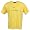 Maize Yellow