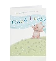 Cute Teddy Bear Good Luck Greetings Card