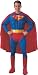 Search : Adult Muscle Chest Superman Costume Size Medium (38-42)