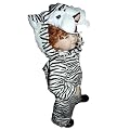 Tiger Kost�m Babykost�m Tigerkostuem Fasching Karneval Kost�me Karnevalskost�m Faschingskost�m F48A 68-74