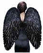 Large Adult Black Feather Costume Wings (not available to ship outside of US)