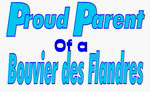 Proud Parent of a Bouvier des Flandres Apron