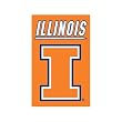 Illinois Banner Flag