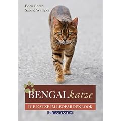Bengalkatze: Die Katze im Leopardenlook