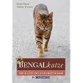 Bengalkatze: Die Katze im Leopardenlook