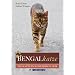 Bengalkatze: Die Katze im Leopardenlook