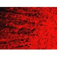 Cerebral Cortex Golgi X20 Method Glia Dendrites Photographic Poster Print, 24x18