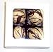 Gourmet Food : Scott's Cakes White Chocolate Truffles 4 Pack