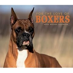 For the Love of Boxers Deluxe Wall Calendar: 2003