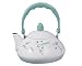 Pfaltzgraff April Enamel on Steel Personal Tea Kettle