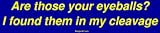 Are those your eyeballs? I found them in my cleavage Bumper Sticker