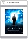 Afterlife