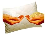 Produkt-Bild: Badenia Bettcomfort 03460099107 Irisette Dinkelkissen 40 x 60 cm natur