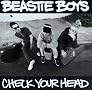 Check Your Head Check Your Head