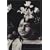 Joel-Peter Witkin