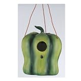 Green Bell Pepper Bird House